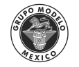 grupo modelo